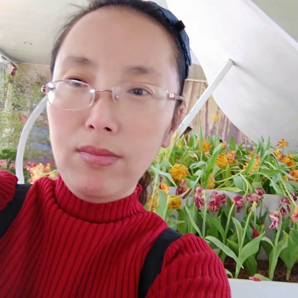 桃花源开的照片