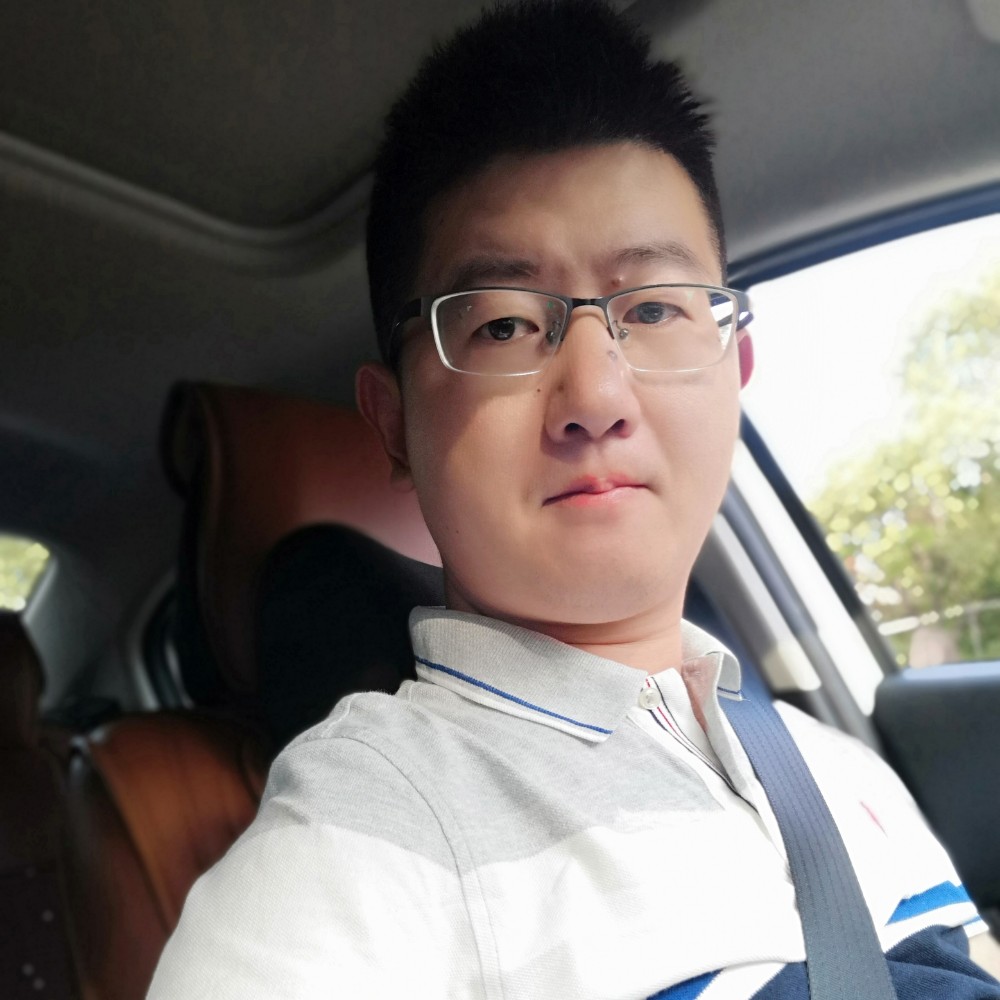 坚强板栗的照片