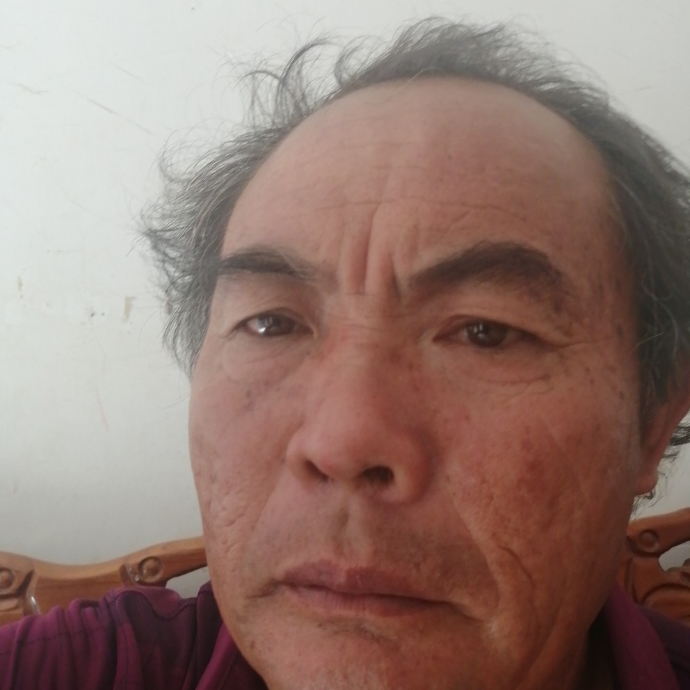 忘忧还勤劳的照片