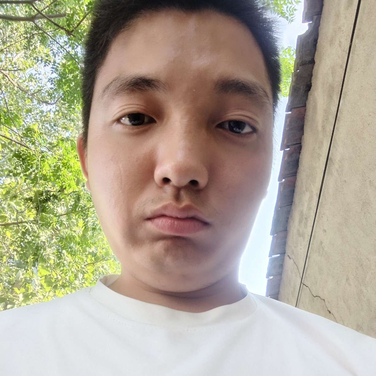毛衣吃醋矮小的照片