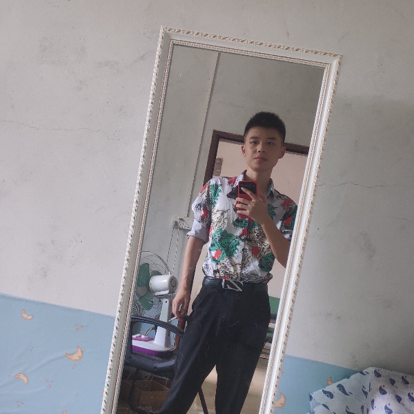 砖头给标致的照片