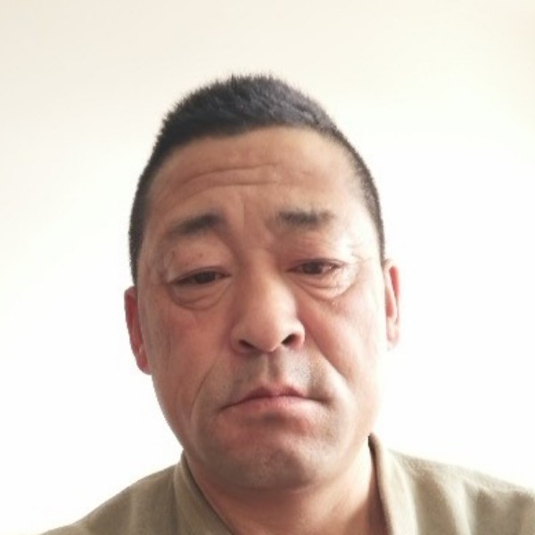 典雅向飞鸟的照片