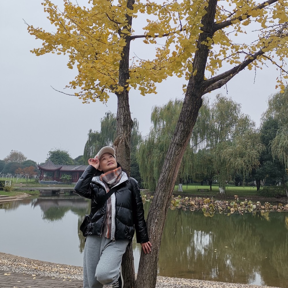 花瓣漫步伶俐的照片