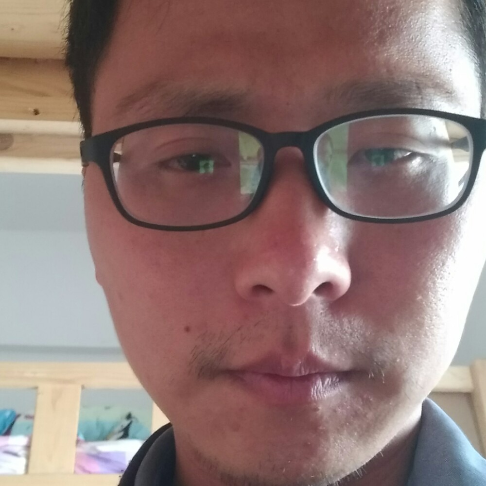 蛋挞高贵的照片