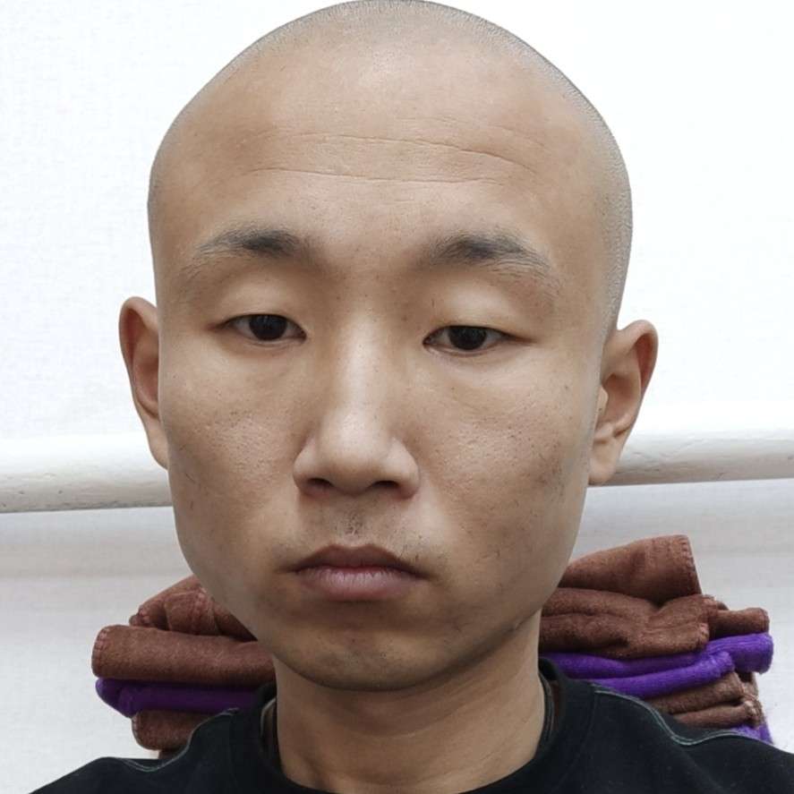 含羞草和自然的照片