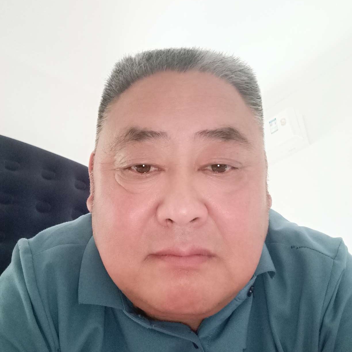 灰狼笑淡然的照片