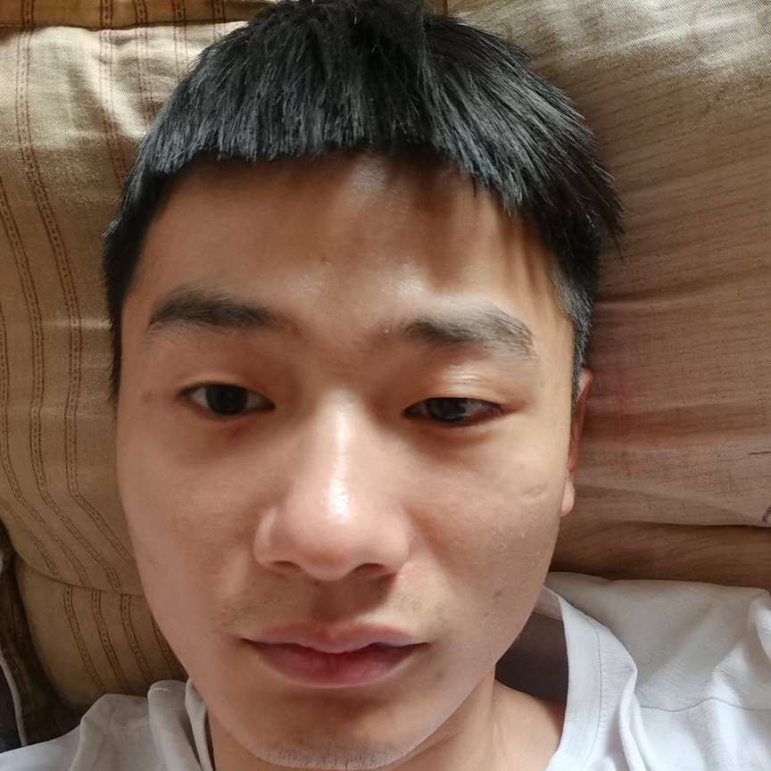大象用懵懂的照片