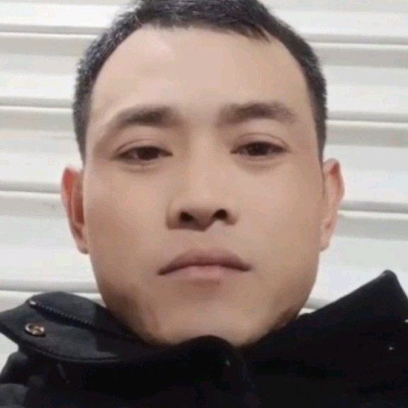 体贴的纸鹤的照片