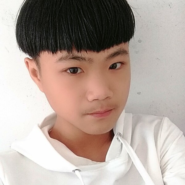 贪玩灰狼的照片