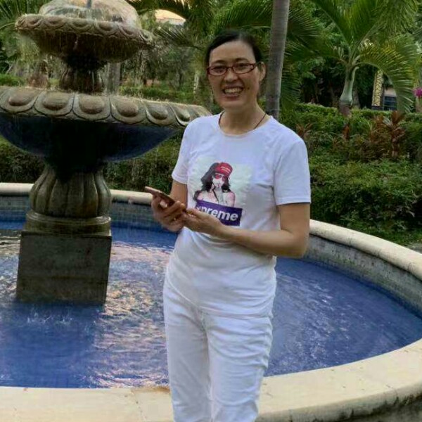 玫瑰平淡的照片