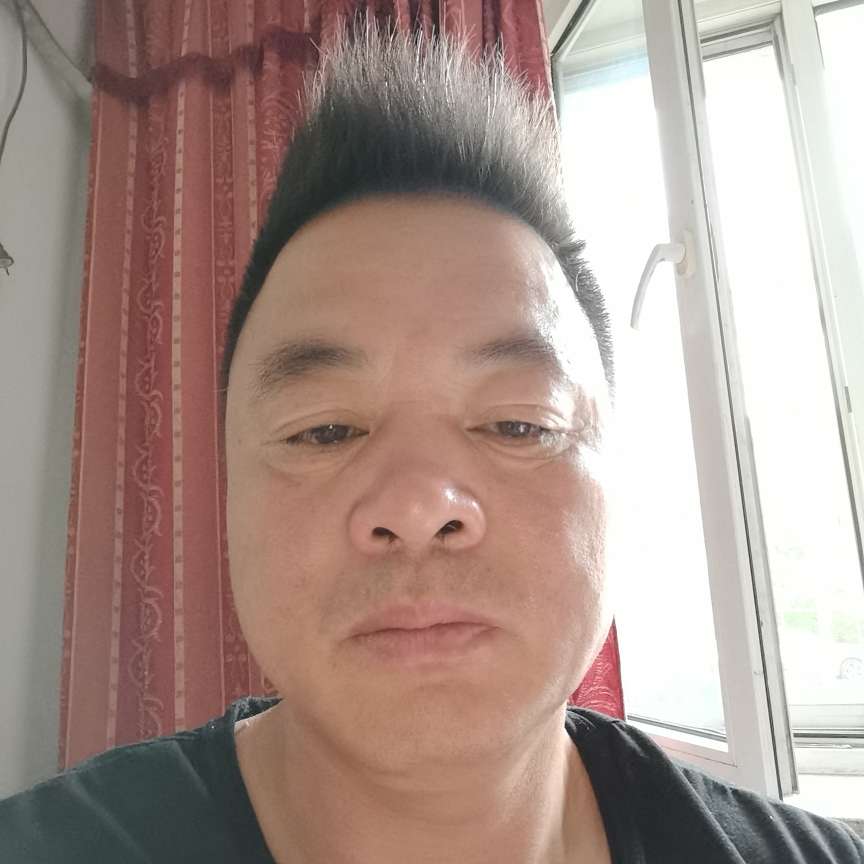 五叶松的照片