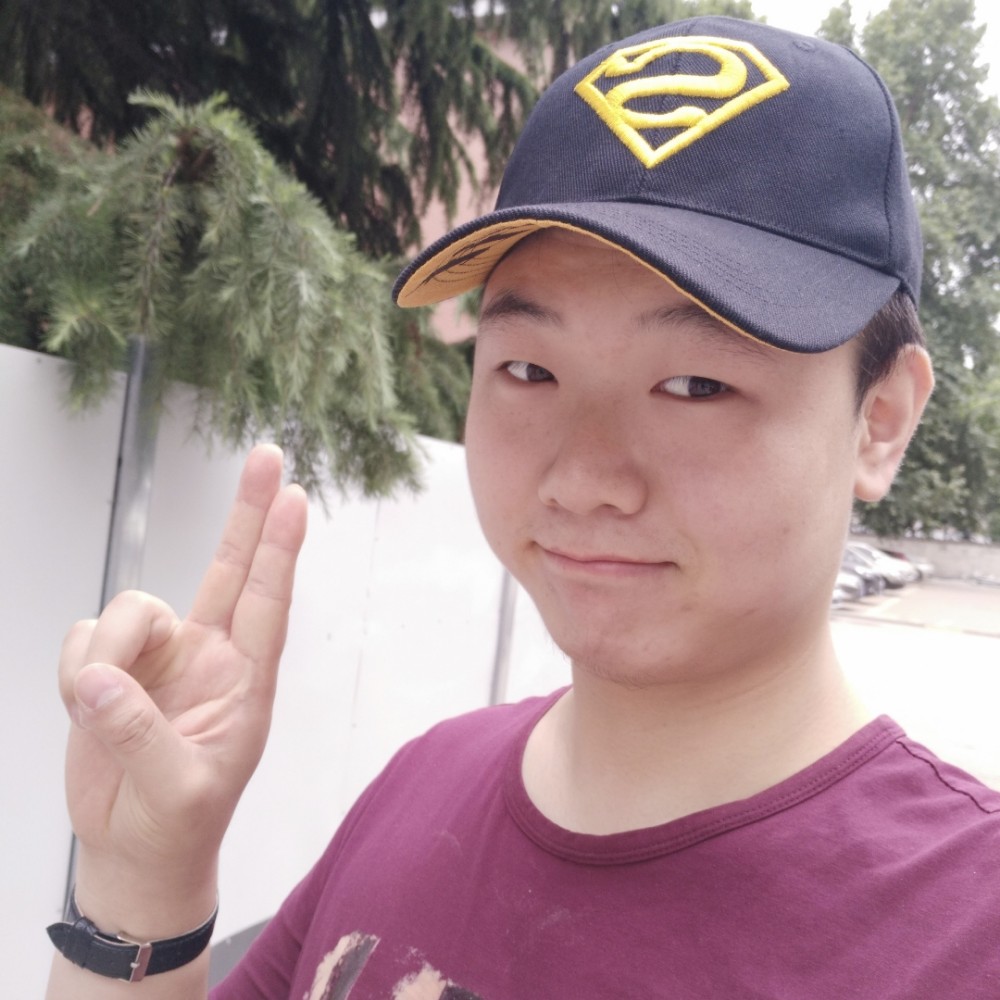 活力向蓝天的照片