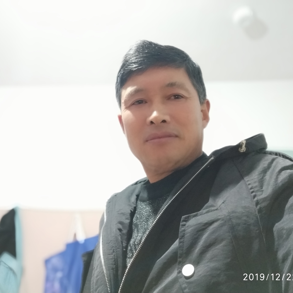 刺猬蹁跹明媚的照片