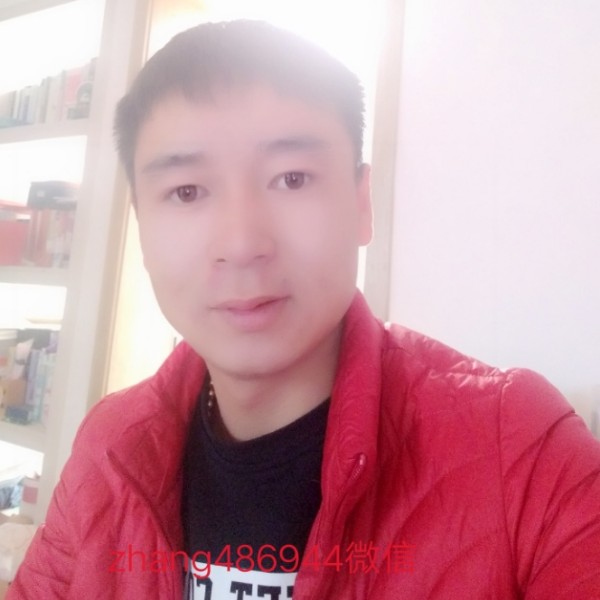 高贵逐风的照片
