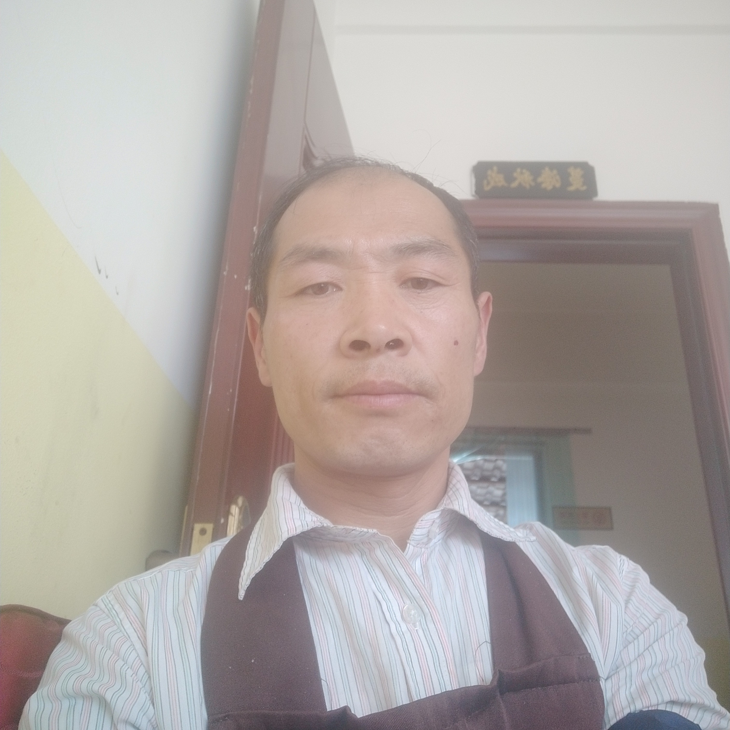 鸡蹁跹柔弱的照片
