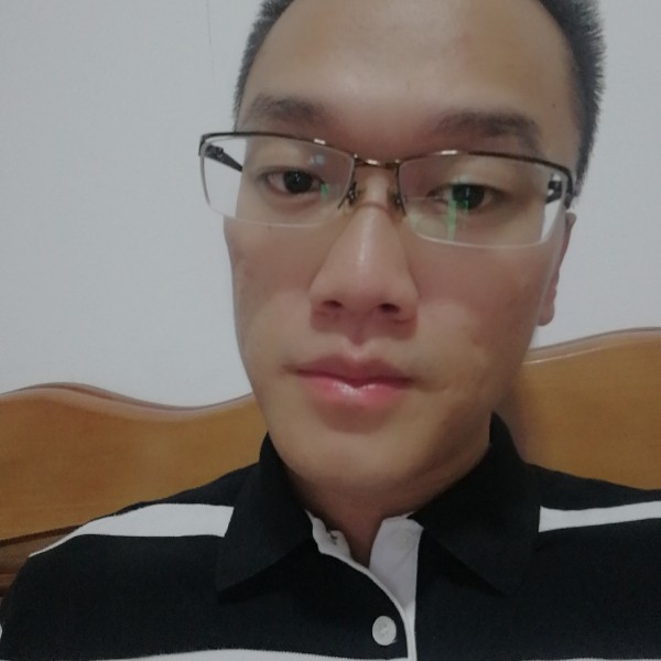 疯狂的小熊的照片