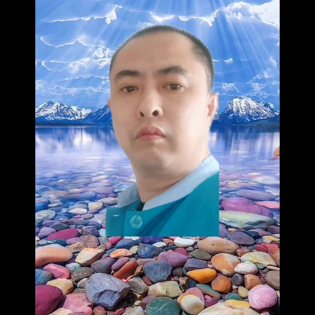 害羞回首小天鹅的照片