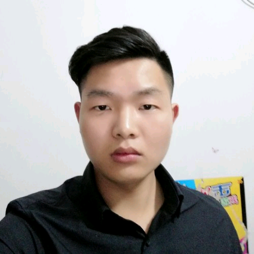 不羁的野马的照片
