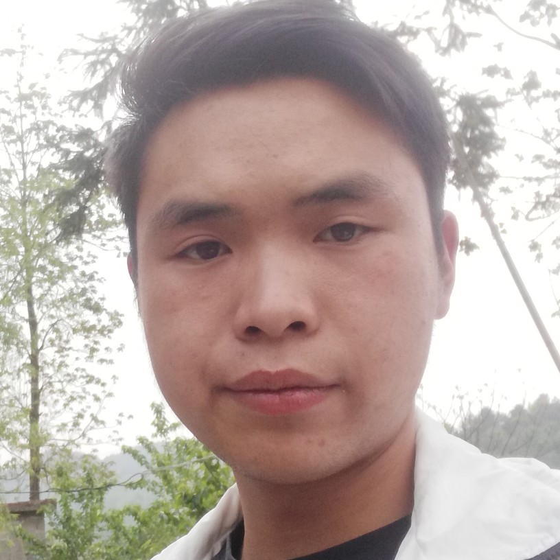 南无冥花的照片