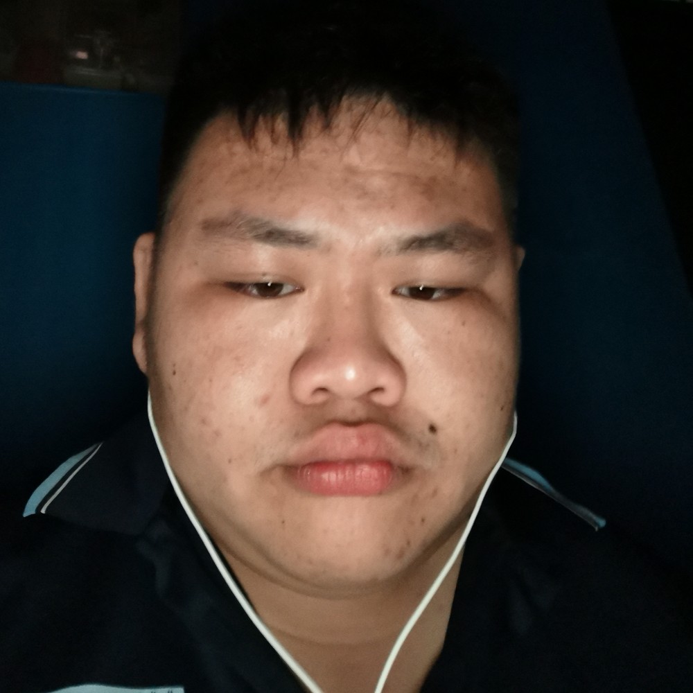 阳光与荼蘼的照片