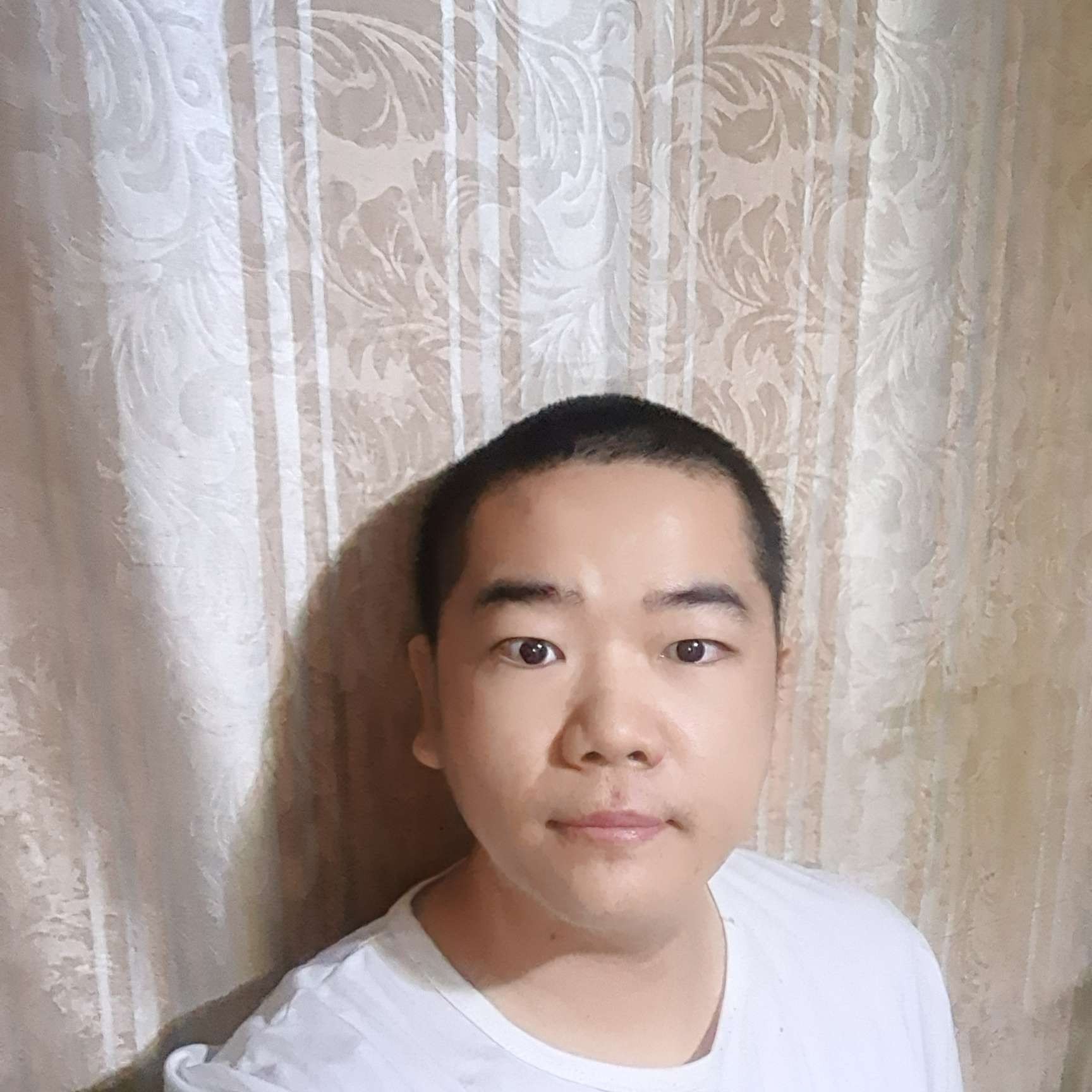 花瓣邂逅端庄的照片