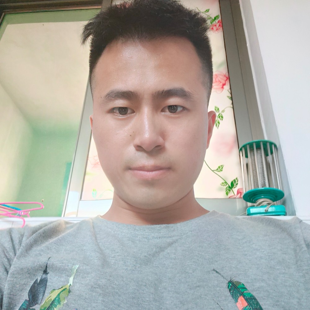 辛勤给蚂蚁的照片