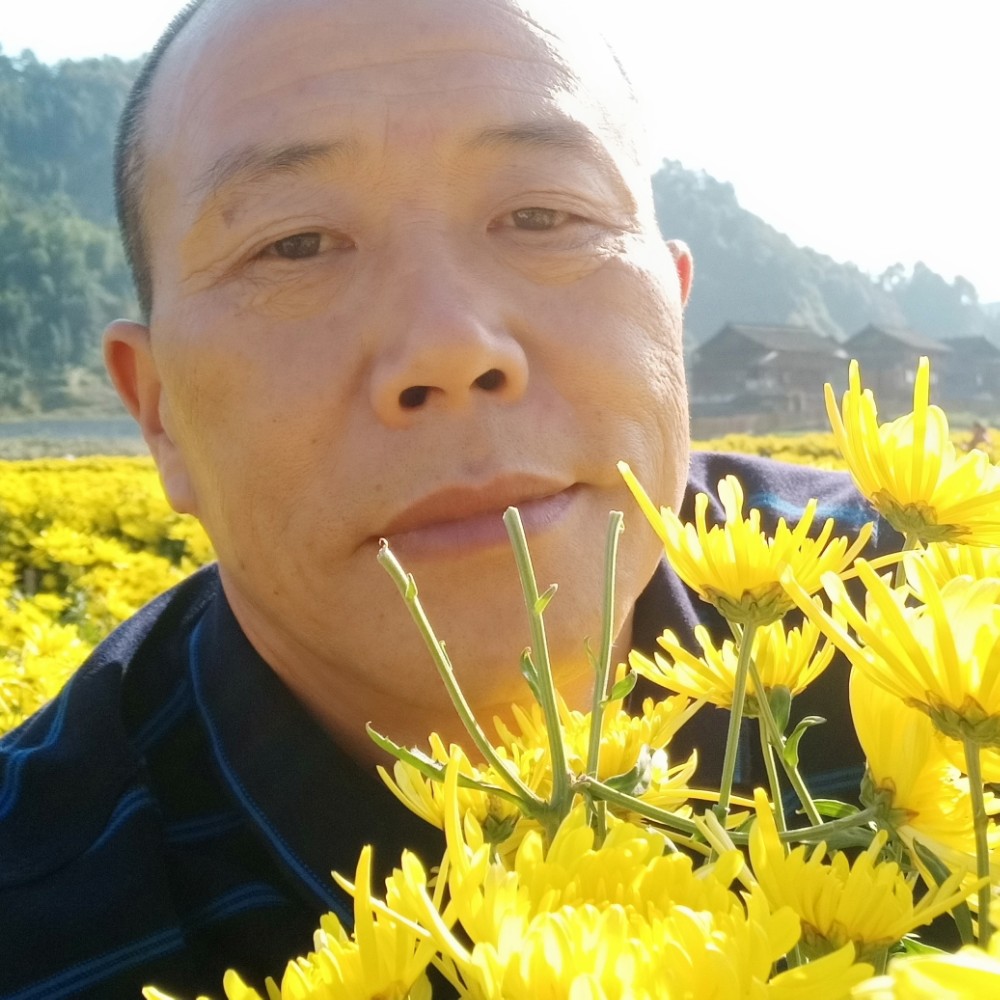 迷路深拥时光的照片