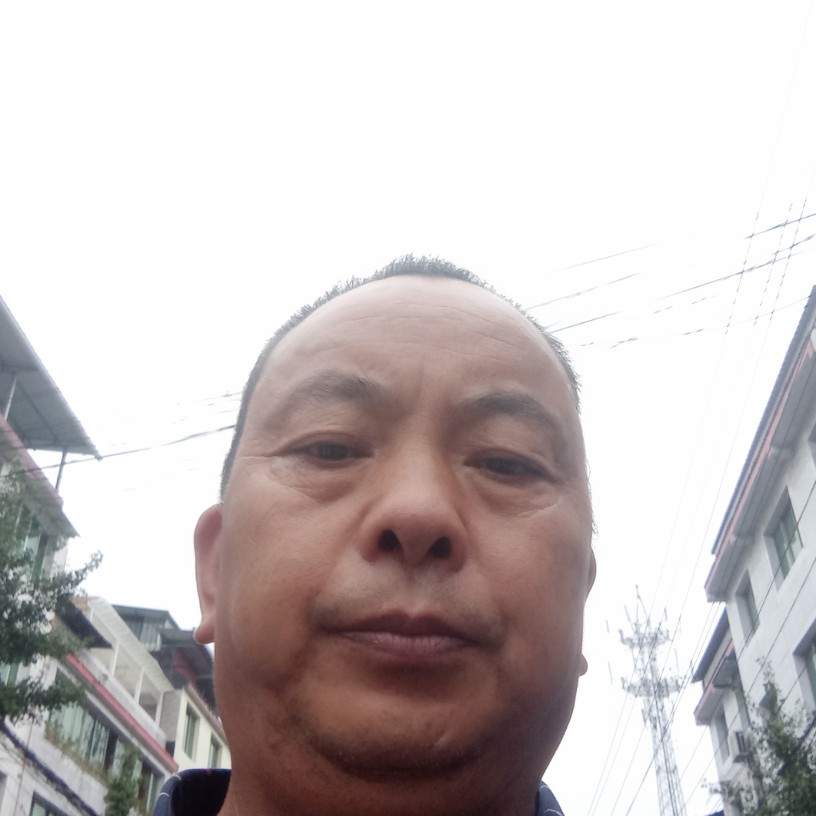 金毛扯机灵的照片