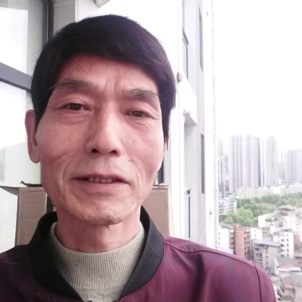 小蚂蚁细腻的照片