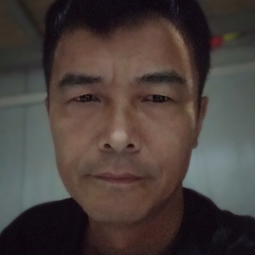 漂泊的孤狼的照片
