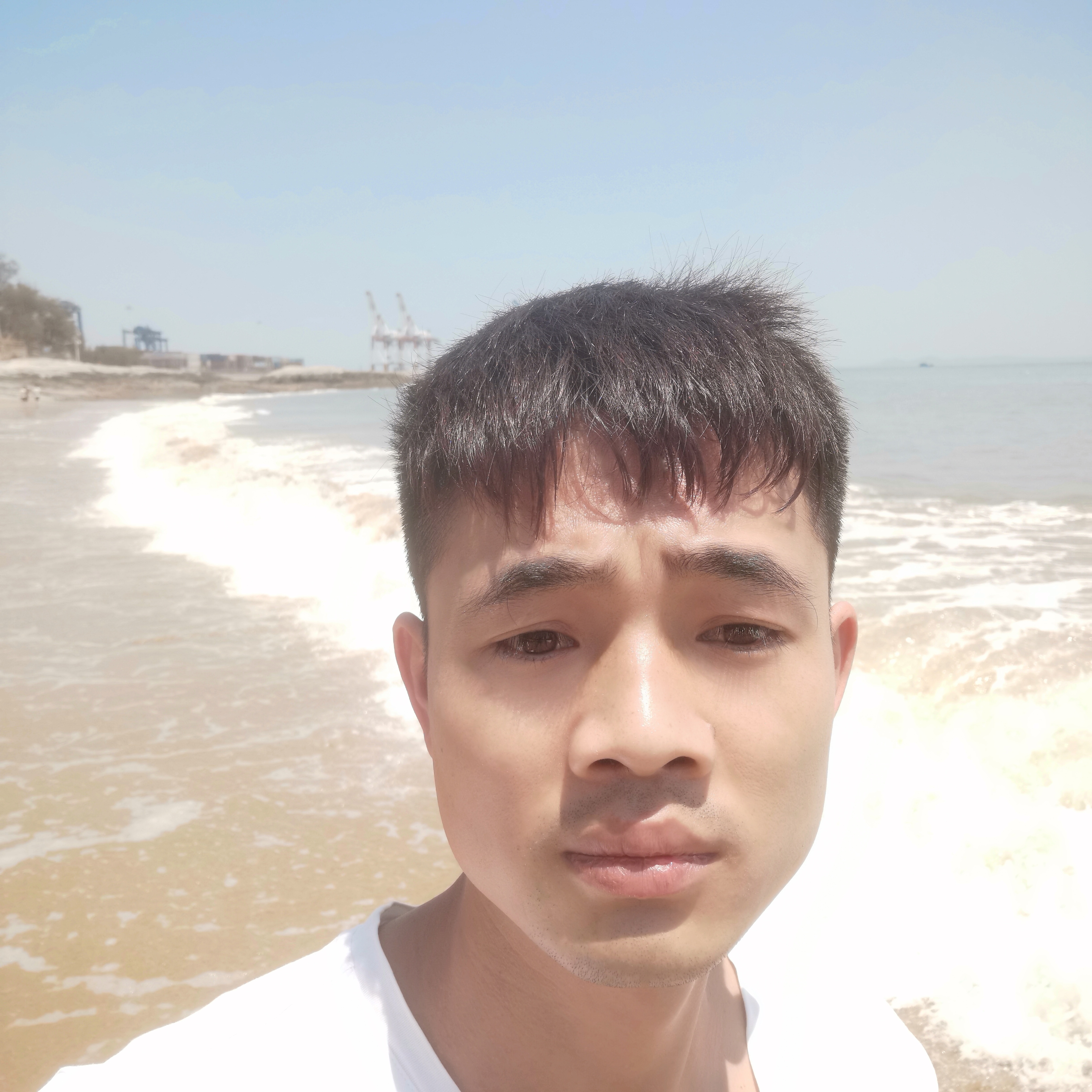 柠檬恋的照片