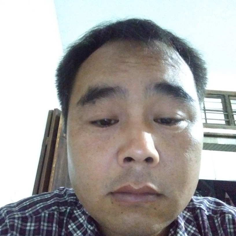 闪闪拾忆飞鸟的照片