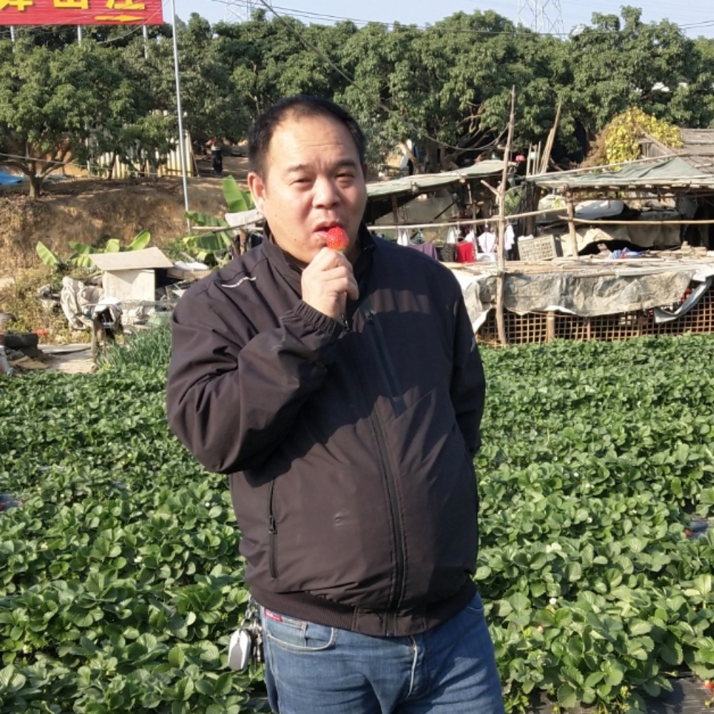 贤惠黑夜的照片