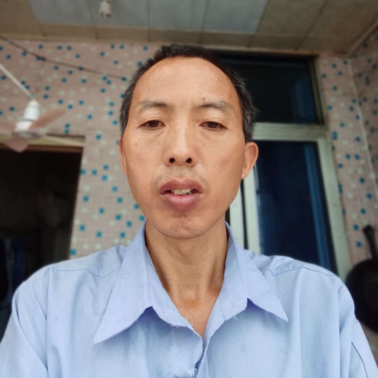 平淡闻蘩藜的照片