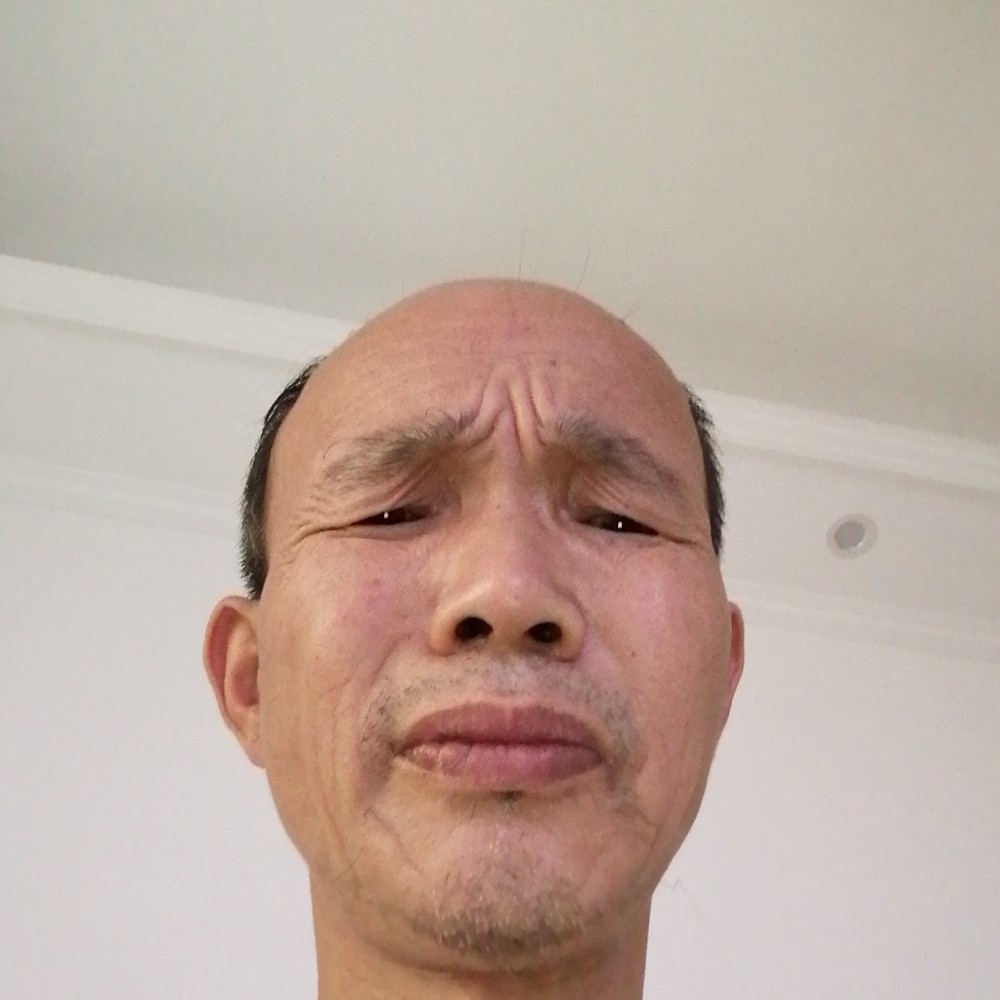 真心无过的照片