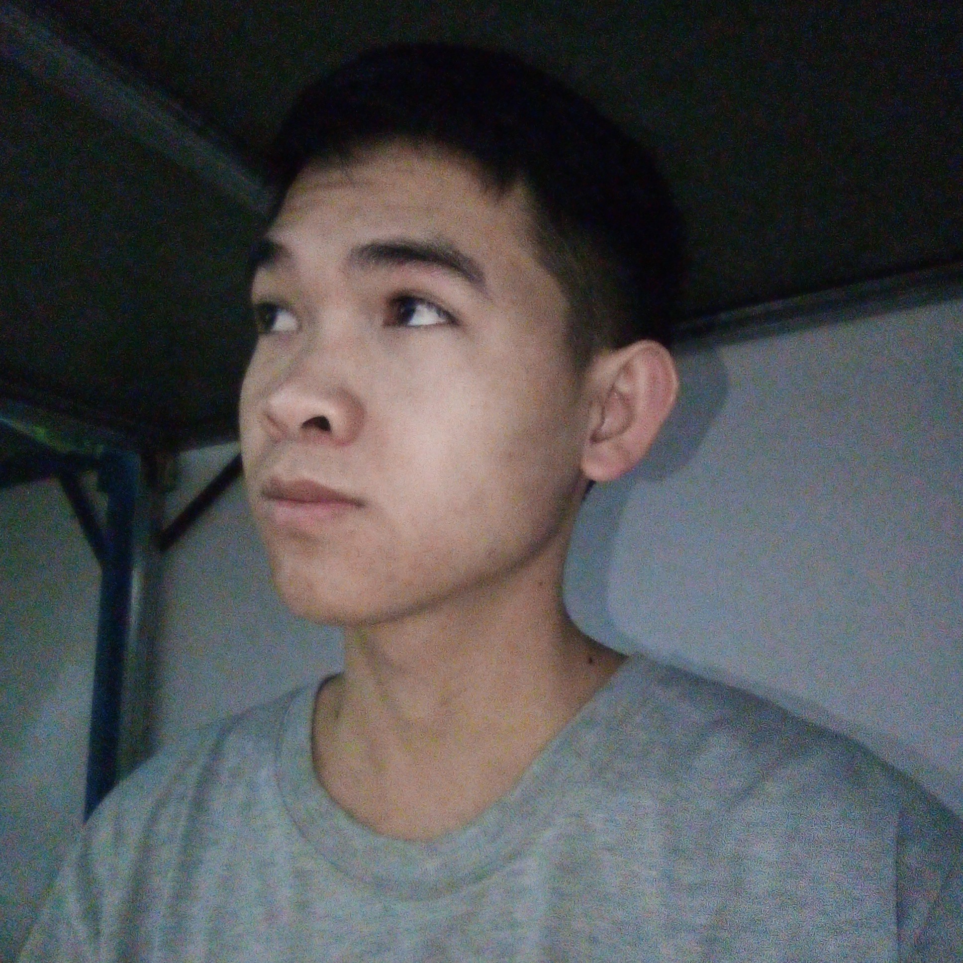 狼殿下的照片