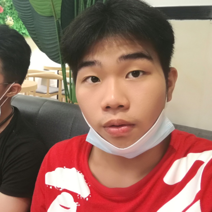 树沉的照片
