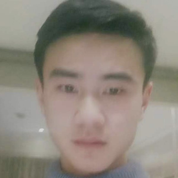 pt狗的照片