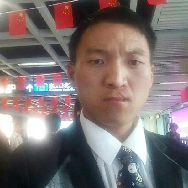 奇异果蹁跹有魅力的照片