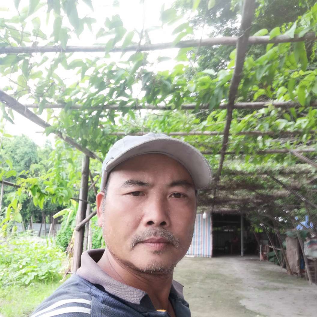 健壮凝眸的照片