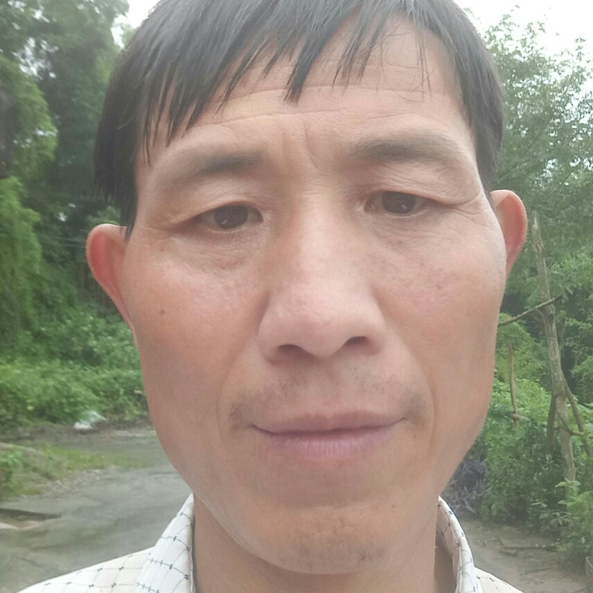 诚信为真的照片