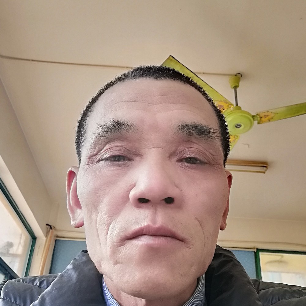 上海金山朱行的照片