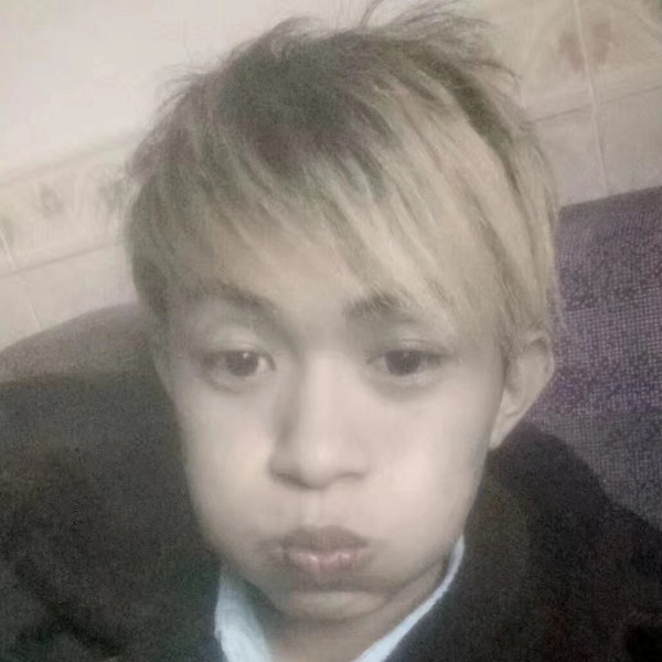 小海豚欠你的的照片