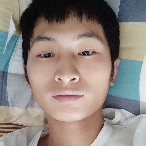 细心吃醋红玫瑰的照片