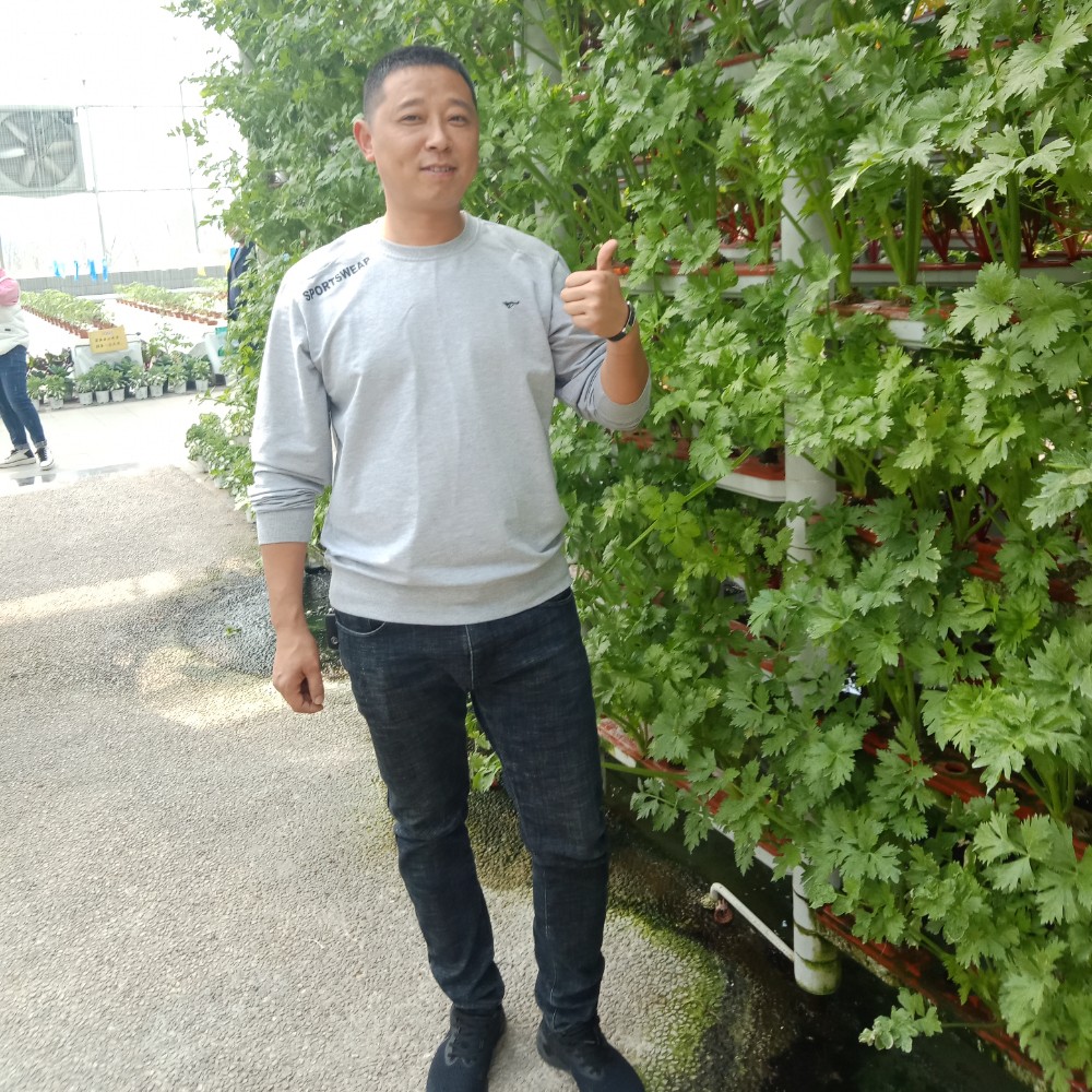你是我抱不到的风的照片