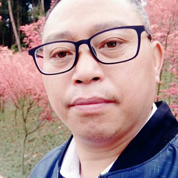 天涯鸟的照片