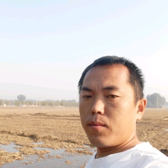 聪明还黑猫的照片