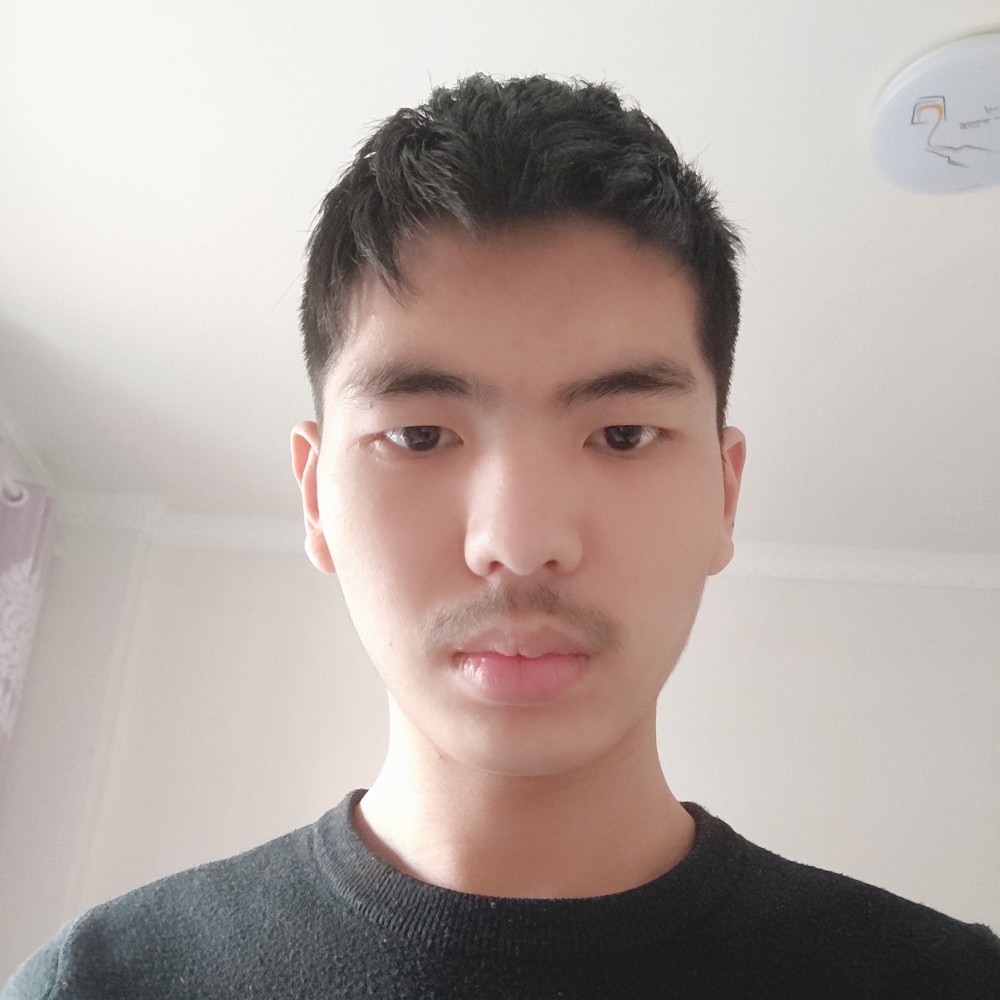 震动蹁跹老鼠的照片