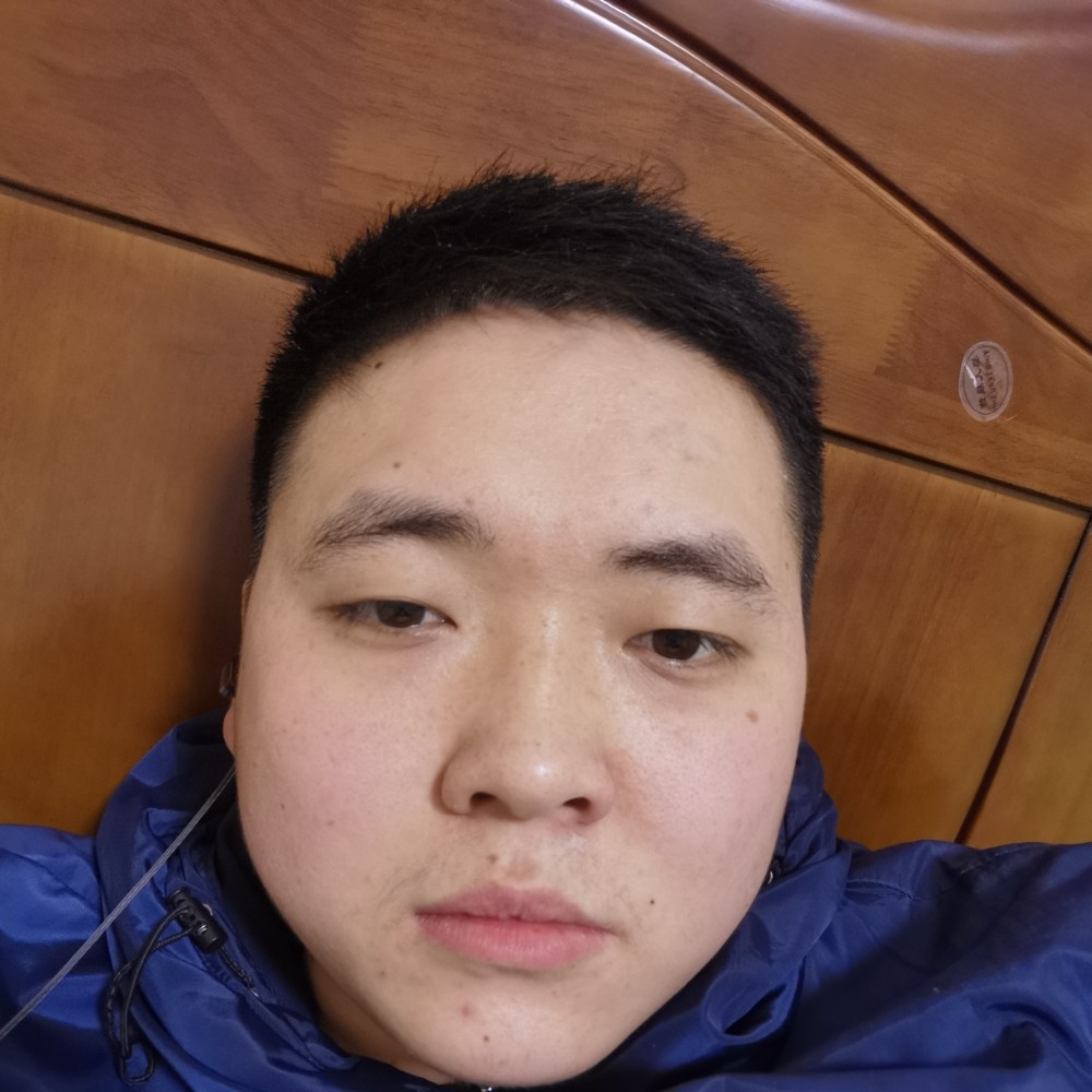 温暖多么斑马的照片
