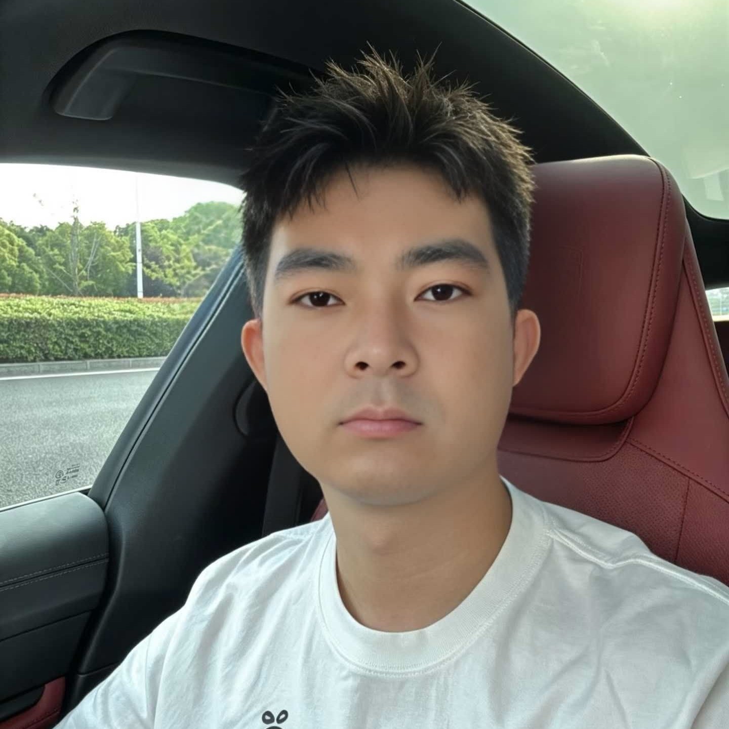 晚枫的照片